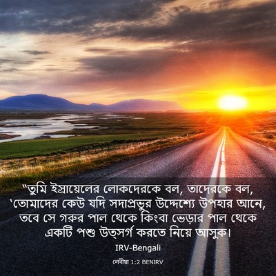 Picture 03 - লেবীয়া 1:2 BENIRV - “তুমি ইস্রায়েলের - Bible Verse Picture