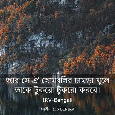 Picture 03 - লেবীয়া 1:6 BENIRV - আর সে ঐ হোমবলির - Bible Verse Picture