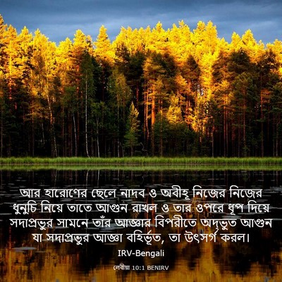 Picture 03 - লেবীয়া 10:1 BENIRV - আর হারোণের ছেলে - Bible Verse Picture
