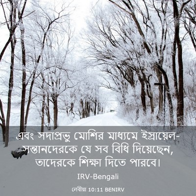 Picture 03 - লেবীয়া 10:11 BENIRV - এবং সদাপ্রভু - Bible Verse Picture