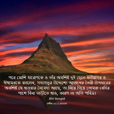 Picture 03 - লেবীয়া 10:12 BENIRV - পরে মোশি হারোণকে ও - Bible Verse Picture