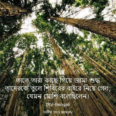 Picture 03 - লেবীয়া 10:5 BENIRV - তাতে তারা কাছে - Bible Verse Picture