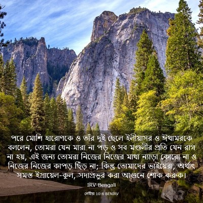 Picture 03 - লেবীয়া 10:6 BENIRV - পরে মোশি হারোণকে ও - Bible Verse Picture