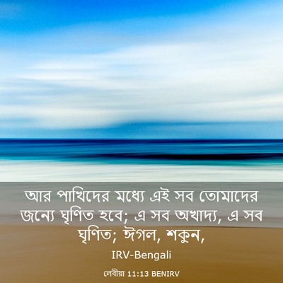 Picture 03 - লেবীয়া 11:13 BENIRV - আর পাখিদের মধ্যে - Bible Verse Picture