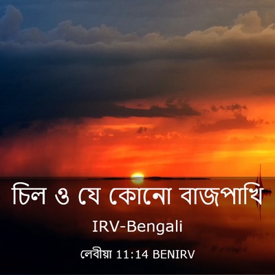 Picture 03 - লেবীয়া 11:14 BENIRV - চিল ও যে কোনো - Bible Verse Picture