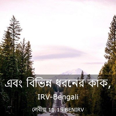 Picture 03 - লেবীয়া 11:15 BENIRV - এবং বিভিন্ন ধরনের - Bible Verse Picture