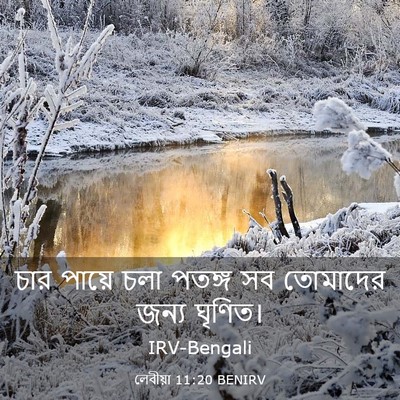 Picture 03 - লেবীয়া 11:20 BENIRV - চার পায়ে চলা - Bible Verse Picture