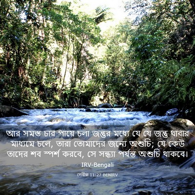 Picture 03 - লেবীয়া 11:27 BENIRV - আর সমস্ত চার পায়ে - Bible Verse Picture