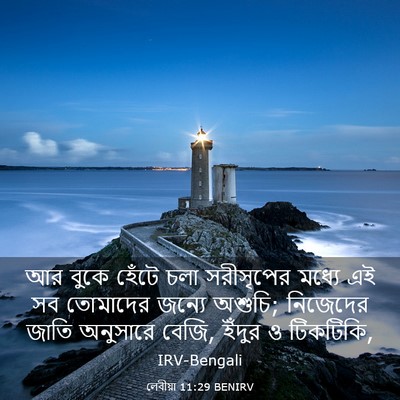 Picture 03 - লেবীয়া 11:29 BENIRV - আর বুকে হেঁটে চলা - Bible Verse Picture