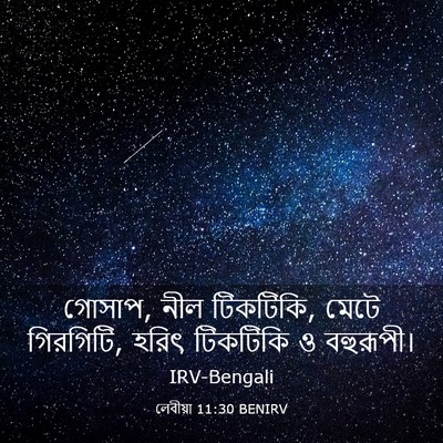 Picture 03 - লেবীয়া 11:30 BENIRV - গোসাপ, নীল টিকটিকি, - Bible Verse Picture