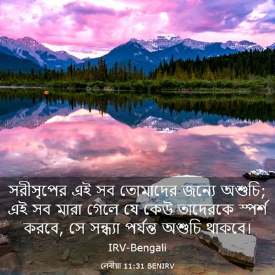 Picture 03 - লেবীয়া 11:31 BENIRV - সরীসৃপের এই সব - Bible Verse Picture