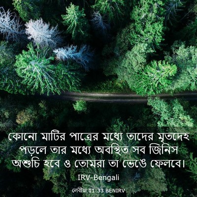 Picture 03 - লেবীয়া 11:33 BENIRV - কোনো মাটির - Bible Verse Picture