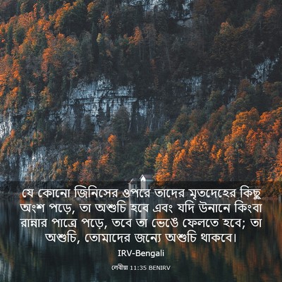 Picture 03 - লেবীয়া 11:35 BENIRV - যে কোনো জিনিসের - Bible Verse Picture