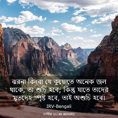 Picture 03 - লেবীয়া 11:36 BENIRV - ঝরনা কিংবা যে - Bible Verse Picture