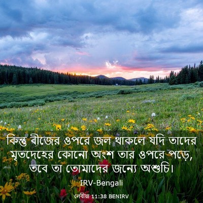 Picture 03 - লেবীয়া 11:38 BENIRV - কিন্তু বীজের ওপরে - Bible Verse Picture