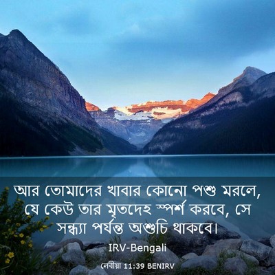 Picture 03 - লেবীয়া 11:39 BENIRV - আর তোমাদের খাবার - Bible Verse Picture