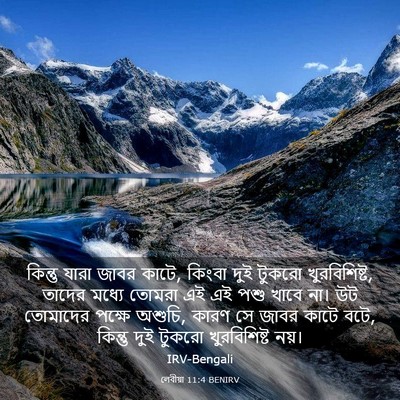 Picture 03 - লেবীয়া 11:4 BENIRV - কিন্তু যারা জাবর - Bible Verse Picture