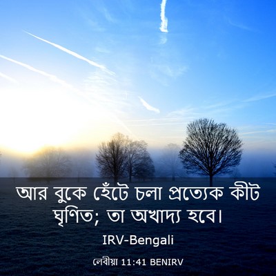 Picture 03 - লেবীয়া 11:41 BENIRV - আর বুকে হেঁটে চলা - Bible Verse Picture