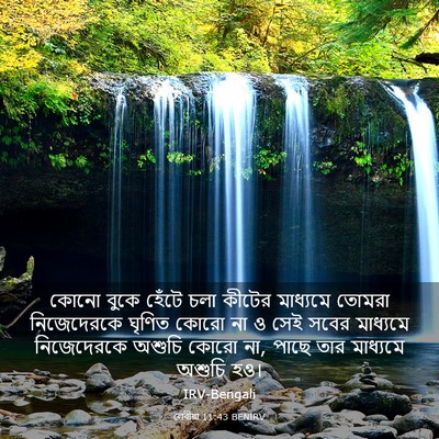 Picture 03 - লেবীয়া 11:43 BENIRV - কোনো বুকে হেঁটে - Bible Verse Picture