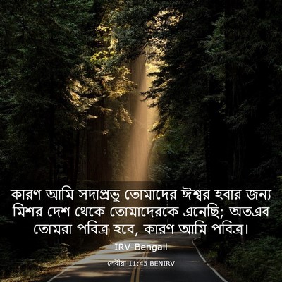 Picture 03 - লেবীয়া 11:45 BENIRV - কারণ আমি সদাপ্রভু - Bible Verse Picture