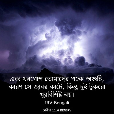 Picture 03 - লেবীয়া 11:6 BENIRV - এবং খরগোশ তোমাদের - Bible Verse Picture