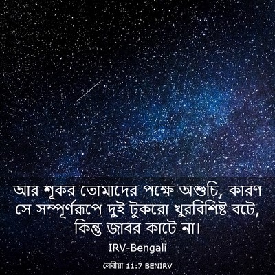 Picture 03 - লেবীয়া 11:7 BENIRV - আর শূকর তোমাদের - Bible Verse Picture