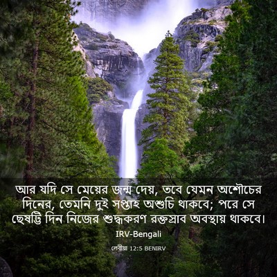 Picture 03 - লেবীয়া 12:5 BENIRV - আর যদি সে মেয়ের - Bible Verse Picture
