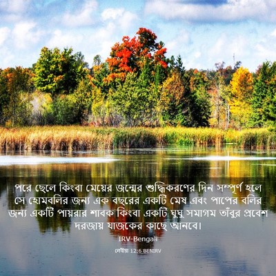 Picture 03 - লেবীয়া 12:6 BENIRV - পরে ছেলে কিংবা - Bible Verse Picture