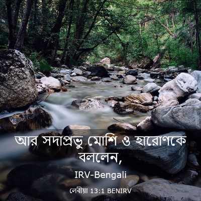Picture 03 - লেবীয়া 13:1 BENIRV - আর সদাপ্রভু মোশি ও - Bible Verse Picture