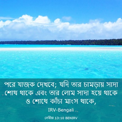 Picture 03 - লেবীয়া 13:10 BENIRV - পরে যাজক দেখবে; যদি - Bible Verse Picture