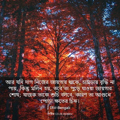 Picture 03 - লেবীয়া 13:28 BENIRV - আর যদি দাগ নিজের - Bible Verse Picture