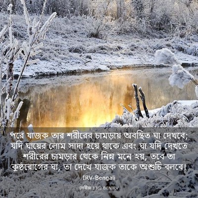 Picture 03 - লেবীয়া 13:3 BENIRV - পরে যাজক তার - Bible Verse Picture