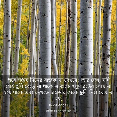 Picture 03 - লেবীয়া 13:32 BENIRV - পরে সপ্তম দিনের - Bible Verse Picture