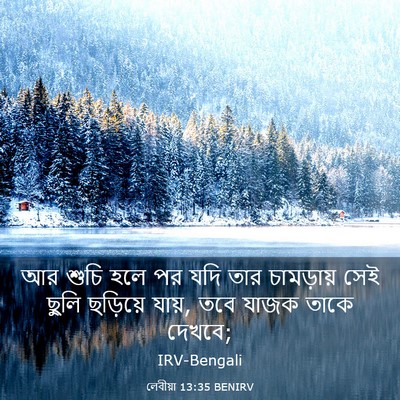 Picture 03 - লেবীয়া 13:35 BENIRV - আর শুচি হলে পর যদি - Bible Verse Picture