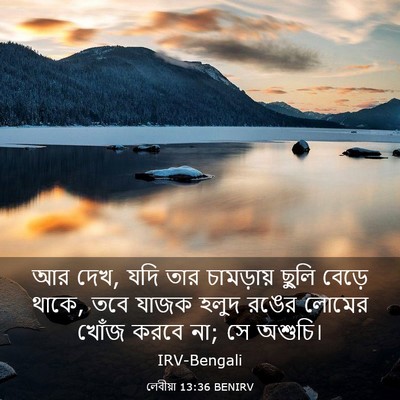 Picture 03 - লেবীয়া 13:36 BENIRV - আর দেখ, যদি তার - Bible Verse Picture