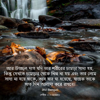 Picture 03 - লেবীয়া 13:4 BENIRV - আর উজ্জ্বল দাগ যদি - Bible Verse Picture