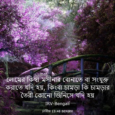 Picture 03 - লেবীয়া 13:48 BENIRV - লোমের কিম্বা - Bible Verse Picture