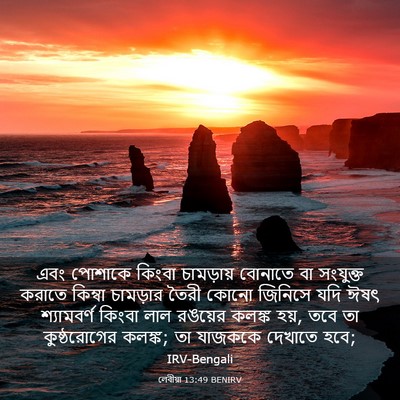 Picture 03 - লেবীয়া 13:49 BENIRV - এবং পোশাকে কিংবা - Bible Verse Picture