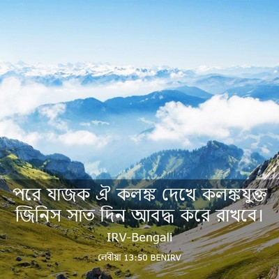 Picture 03 - লেবীয়া 13:50 BENIRV - পরে যাজক ঐ কলঙ্ক - Bible Verse Picture