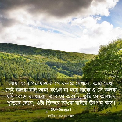 Picture 03 - লেবীয়া 13:55 BENIRV - ধোয়া হলে পর যাজক - Bible Verse Picture