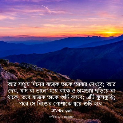 Picture 03 - লেবীয়া 13:6 BENIRV - আর সপ্তম দিনের - Bible Verse Picture