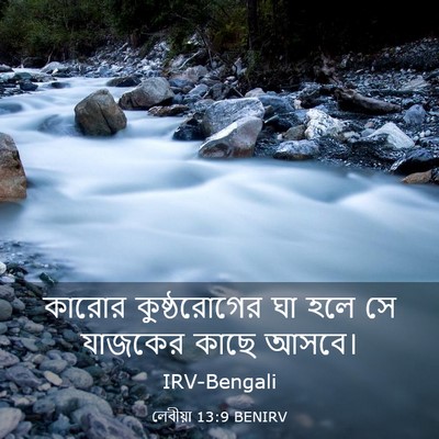 Picture 03 - লেবীয়া 13:9 BENIRV - কারোর কুষ্ঠরোগের - Bible Verse Picture