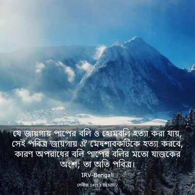 Picture 03 - লেবীয়া 14:13 BENIRV - যে জায়গায় পাপের - Bible Verse Picture