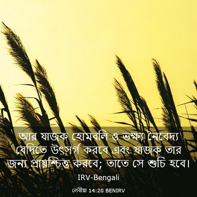 Picture 03 - লেবীয়া 14:20 BENIRV - আর যাজক হোমবলি ও - Bible Verse Picture