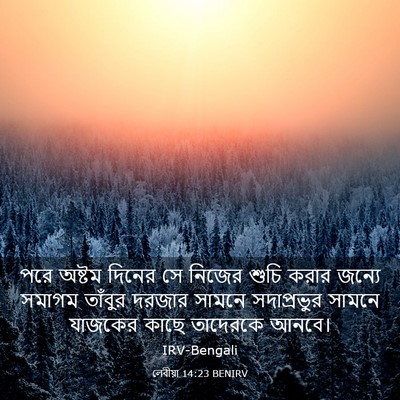 Picture 03 - লেবীয়া 14:23 BENIRV - পরে অষ্টম দিনের সে - Bible Verse Picture