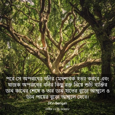 Picture 03 - লেবীয়া 14:25 BENIRV - পরে সে অপরাধের - Bible Verse Picture