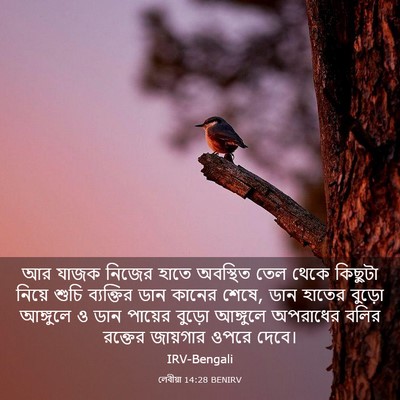 Picture 03 - লেবীয়া 14:28 BENIRV - আর যাজক নিজের হাতে - Bible Verse Picture