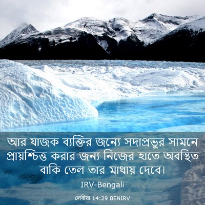 Picture 03 - লেবীয়া 14:29 BENIRV - আর যাজক ব্যক্তির - Bible Verse Picture