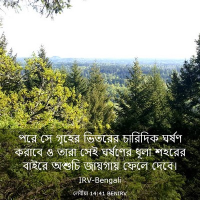 Picture 03 - লেবীয়া 14:41 BENIRV - পরে সে গৃহের - Bible Verse Picture