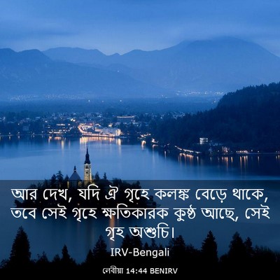 Picture 03 - লেবীয়া 14:44 BENIRV - আর দেখ, যদি ঐ গৃহে - Bible Verse Picture